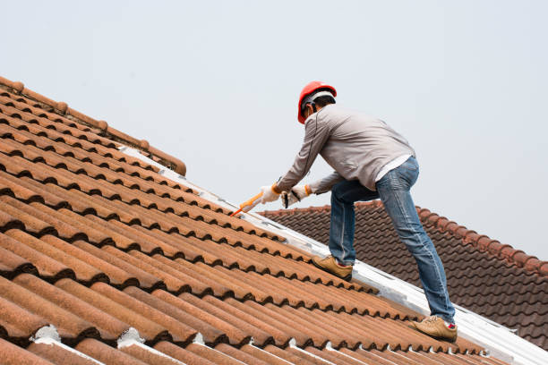 Roof Restoration in Holiday Island, AR