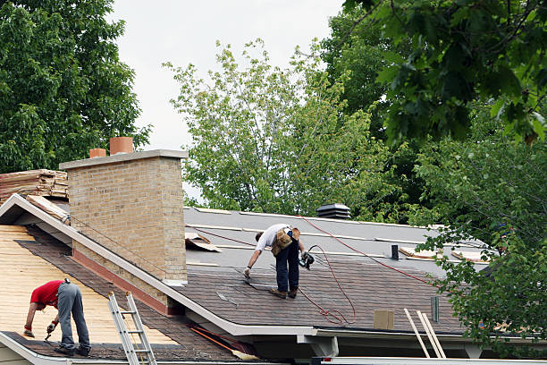 Best Roof Maintenance and Cleaning  in Holiday Island, AR