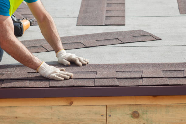 Best Metal Roofing Installation  in Holiday Island, AR